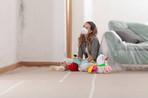 Reliable Mold Remediation contractor in Port Townsend, WA by WQB Mold Removal